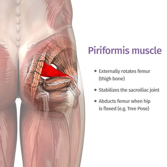 Piriformis Syndrome Is Literally A Pain In The Butt The My Xxx Hot Girl